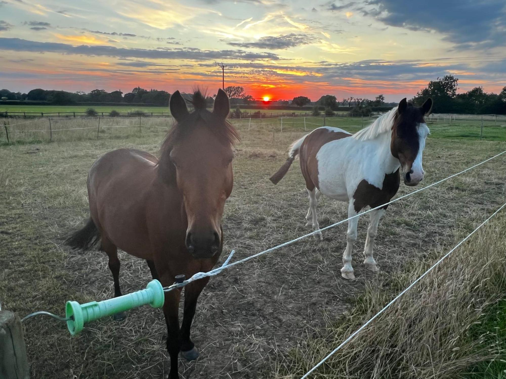 ホテル Wellbet Farm Swinderby エクステリア 写真